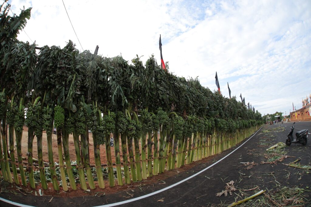 செந்தில் பாலாஜி